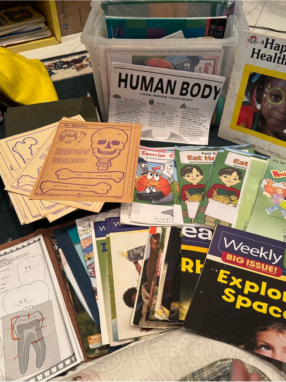 Educational Human Body & Health Activity Book Set -weekly readers large and smal